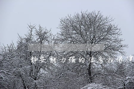 静安能力强的债务担保律师 静安能力强的债务担保律师