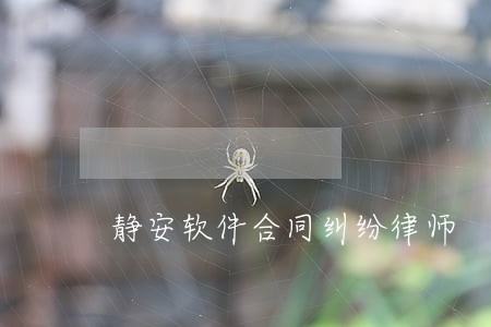 静安软件合同纠纷律师 静安软件合同纠纷律师