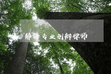 静海专业刑辩律师 静海专业刑辩律师
