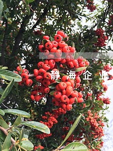 静海企业法律援助 静海企业法律援助