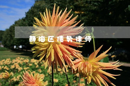 静海区债务律师