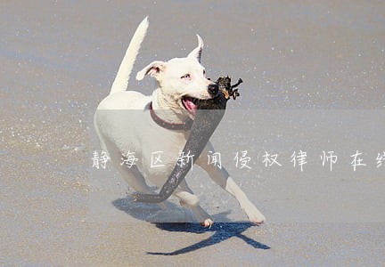 静海区新闻侵权律师在线免费咨询 静海区新闻侵权律师在线免费咨询