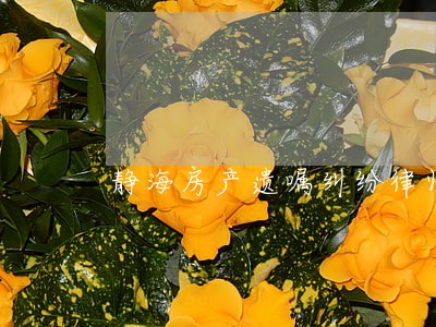 静海房产遗嘱纠纷律师 静海房产遗嘱纠纷律师