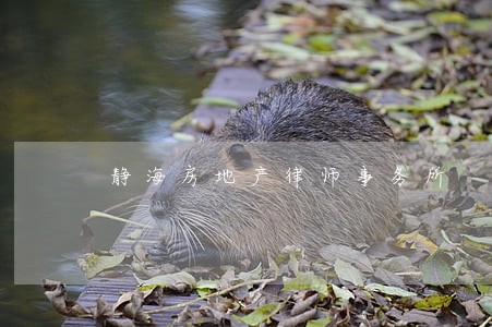 静海房地产律师事务所 静海房地产律师事务所