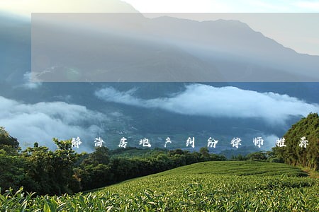 静海房地产纠纷律师推荐 静海房地产纠纷律师推荐