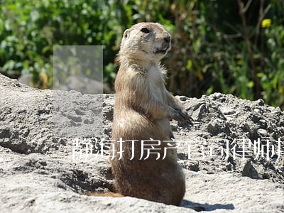 静海打房产官司律师排名 静海打房产官司律师排名