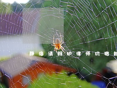 静海请辩护律师价格如何计算