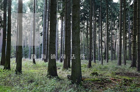 静海镇司法所 静海镇司法所