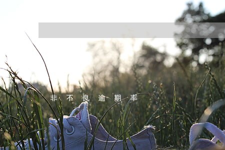 非不良逾期率 非不良逾期率
