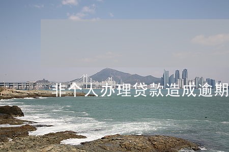 非个人办理贷款造成逾期 非个人办理贷款造成逾期