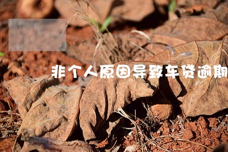 非个人原因导致车贷逾期