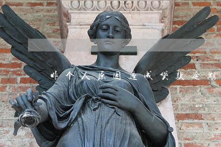 非个人原因造成贷款逾期 非个人原因造成贷款逾期
