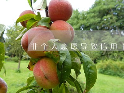 非个人意愿导致信用卡逾期 非个人意愿导致信用卡逾期