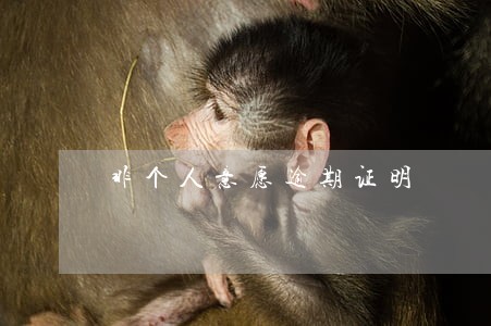 非个人意愿逾期证明 非个人意愿逾期证明