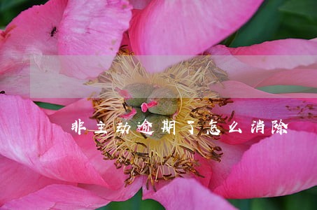 非主动逾期了怎么消除 非主动逾期了怎么消除