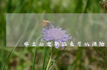 非主动逾期记录可以消除吗
