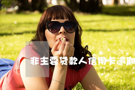 非主要贷款人信用卡逾期