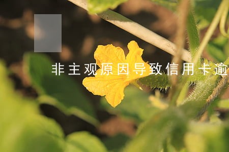 非主观原因导致信用卡逾期 非主观原因导致信用卡逾期
