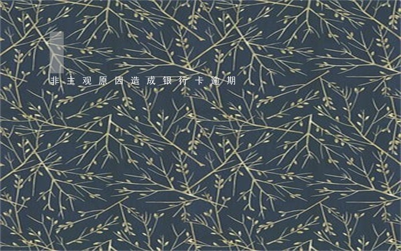 非主观原因造成银行卡逾期 非主观原因造成银行卡逾期