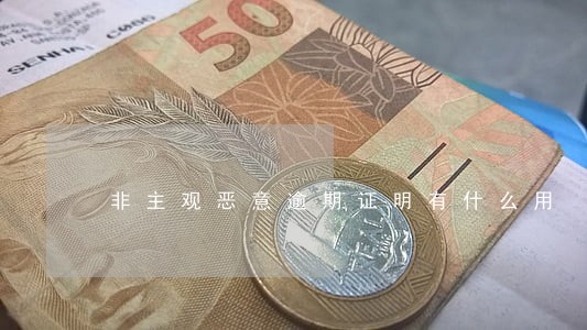 非主观恶意逾期证明有什么用 非主观恶意逾期证明有什么用
