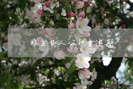 非主贷人公积金逾期 非主贷人公积金逾期