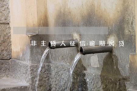 非主贷人征信逾期房贷 非主贷人征信逾期房贷