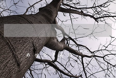 非信用卡逾期 非信用卡逾期