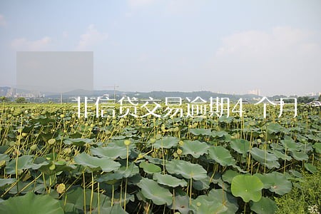 非信贷交易逾期4个月 非信贷交易逾期4个月