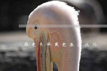 非党员佩戴党徽违法吗 非党员佩戴党徽违法吗