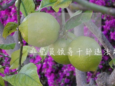 非党员领导干部违法处理 非党员领导干部违法处理
