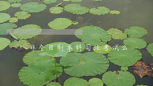 非全日制本科司法考试么 非全日制本科司法考试么