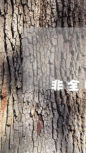非全日制法律硕士能进法院吗