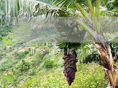 非全日制能考国家司法考试吗 非全日制能考国家司法考试吗