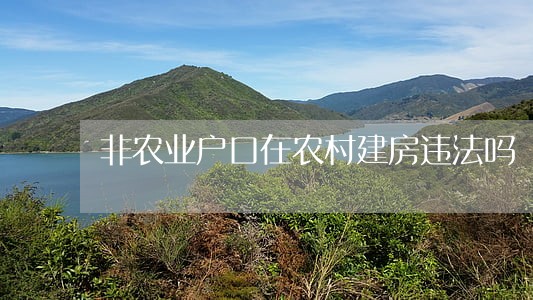 非农业户口在农村建房违法吗
