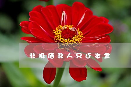 非吸借款人只还本金 非吸借款人只还本金