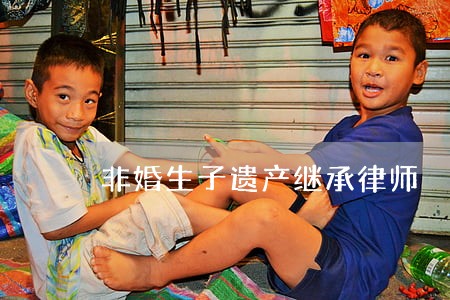 非婚生子遗产继承律师 非婚生子遗产继承律师