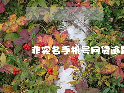 非实名手机号网贷逾期会怎样 非实名手机号网贷逾期会怎样