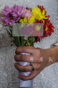 非居民企业备案逾期