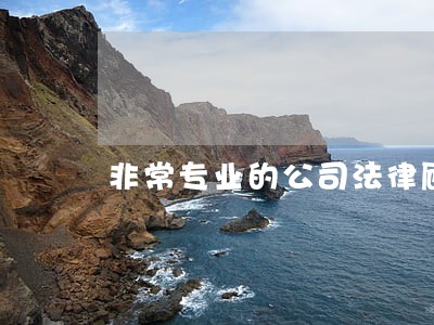 非常专业的公司法律顾问怎么委托 非常专业的公司法律顾问怎么委托