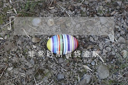 非常时期借贷逾期 非常时期借贷逾期