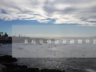 非应计贷款是逾期贷款吗 非应计贷款是逾期贷款吗