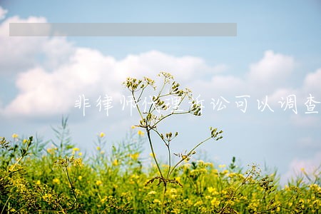 非律师代理诉讼可以调查取证 非律师代理诉讼可以调查取证