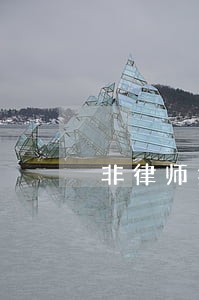 非律师提供法律咨询业务 非律师提供法律咨询业务