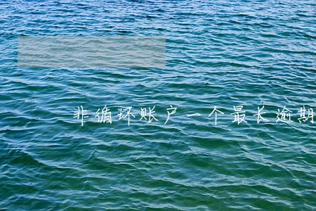 非循环账户一个最长逾期1 非循环账户一个最长逾期1