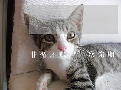 非循环账户一次逾期 非循环账户一次逾期