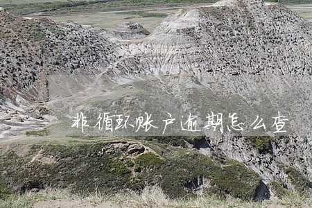 非循环账户逾期怎么查 非循环账户逾期怎么查