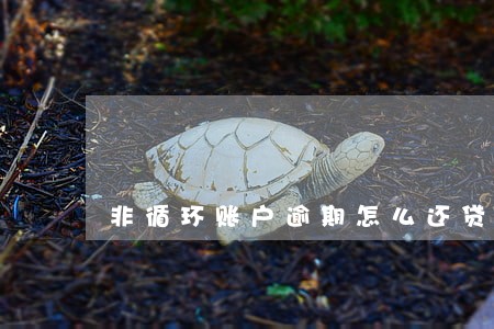 非循环账户逾期怎么还贷 非循环账户逾期怎么还贷