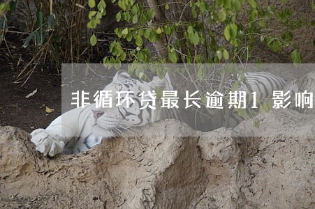 非循环贷最长逾期1影响买房子吗 非循环贷最长逾期1影响买房子吗