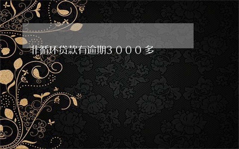 非循环贷款有逾期3000多 非循环贷款有逾期3000多