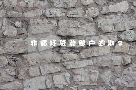 非循环贷款账户逾期2 非循环贷款账户逾期2